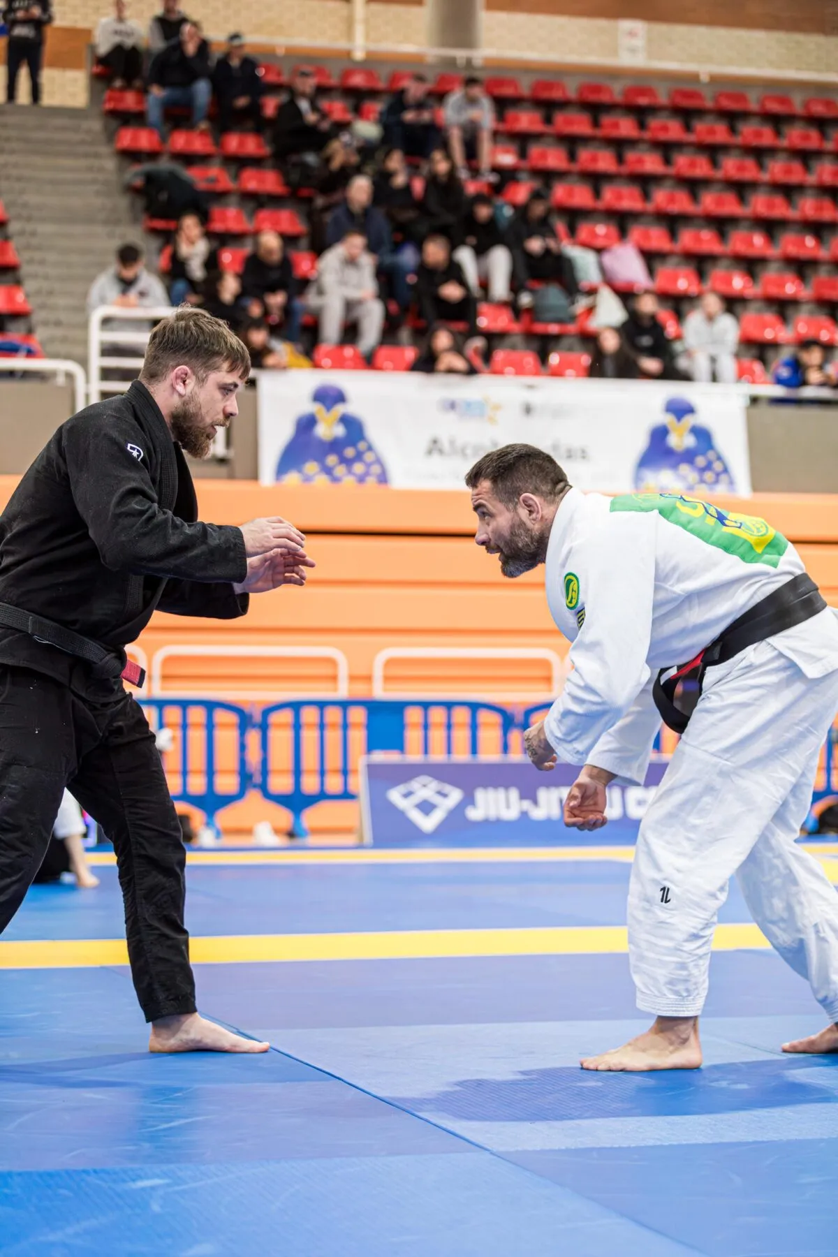 Jiu-Jitsu Brésilien